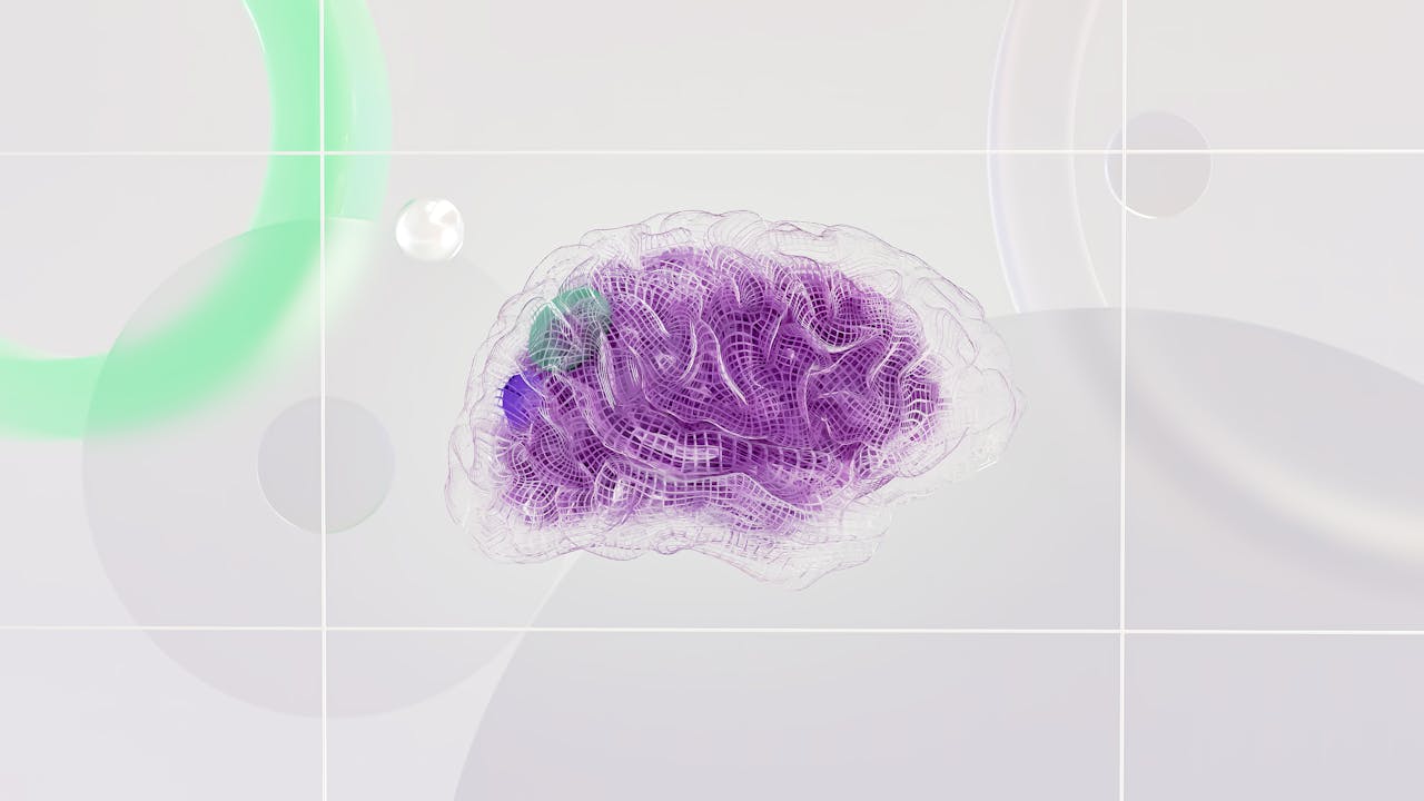 World brain day