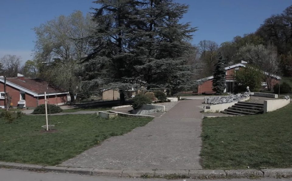 Zvezda donira prihod u ime Siniše Mihajlovića